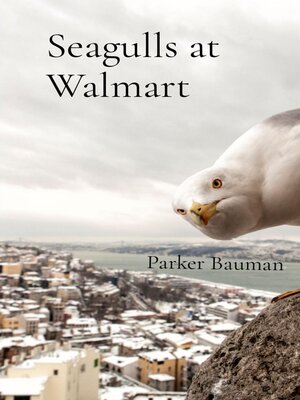 cover image of Seagulls at Walmart